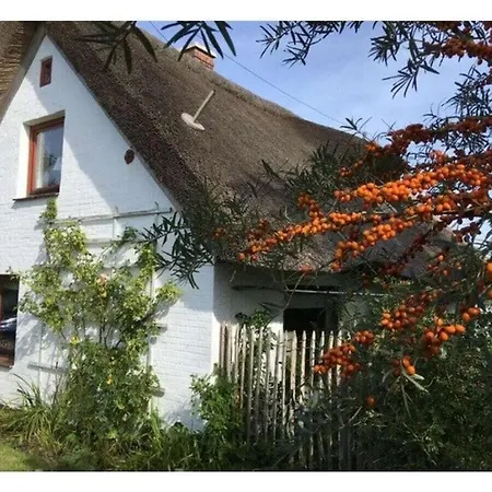The Little Thatched Groven