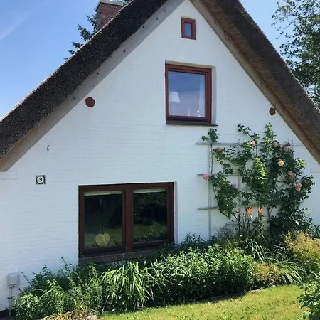 The Little Thatched Groven