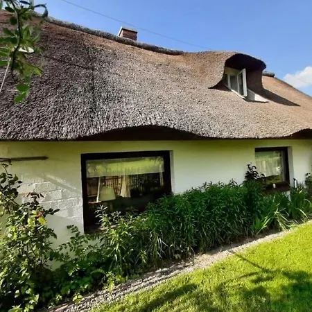 The Little Thatched *