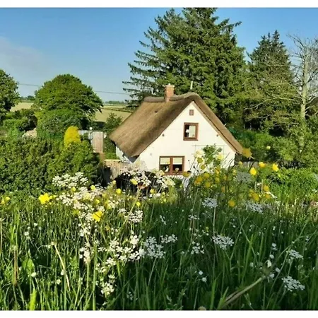 The Little Thatched 別荘
